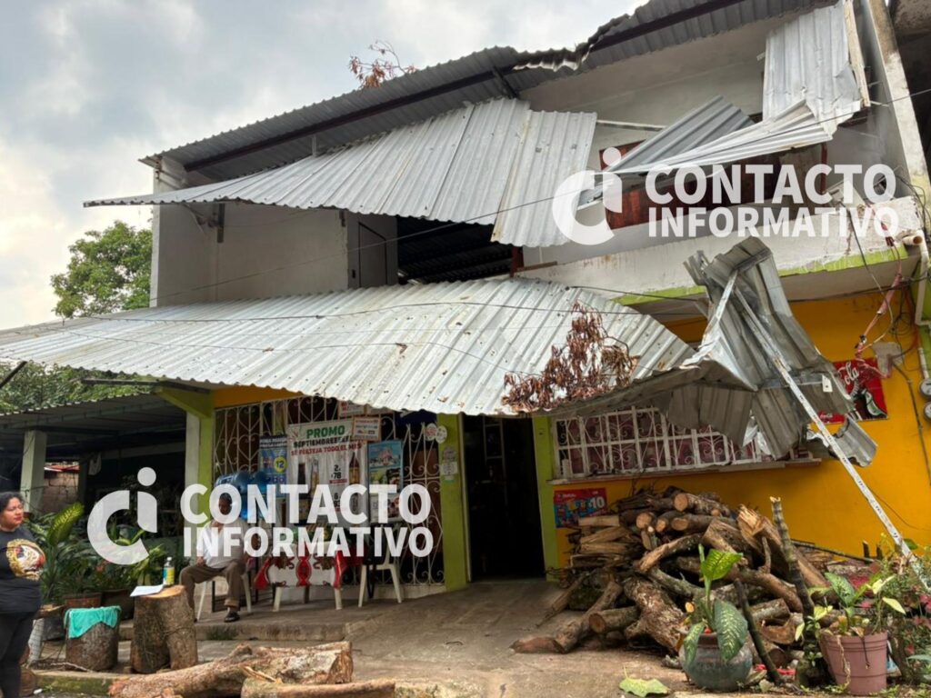 (+VIDEO) Familia exige respuesta del Ayuntamiento tras caída de árbol que devastó su vivienda en El Mangal; no hay ni un peso en caja, según el gobierno.