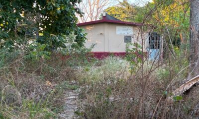 Escuela primaria en Minatitlán, más de una década en el abandono y olvido