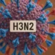 Súper gripe H3N2: ¿Cuáles son los síntomas que provoca esta variante de influenza y quiénes