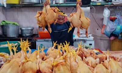 Se mantiene el precio del pollo en mercados de Minatitlán, Ver.