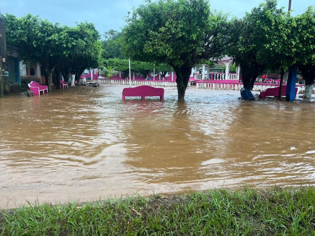 SE VUELVE A INUNDAR LA PALMA EN #CATEMACO: PIDEN A ROCÍO NAHLE EL APOYO EN «TERRITORIO»