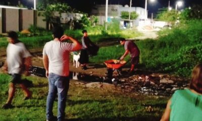 *Ahora envenenan a tres perros en Puerto Esmeralda y la colonia Manantial de Coatzacoalcos*