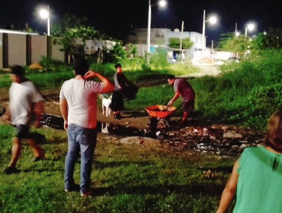 *Ahora envenenan a tres perros en Puerto Esmeralda y la colonia Manantial de Coatzacoalcos*