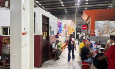 *Denuncian envenenamiento masivo de gatos en el mercado Morelos de Coatzacoalcos*