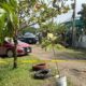En ataque armado un hombre es asesinado en la colonia Constituyentes de Coatzacoalcos