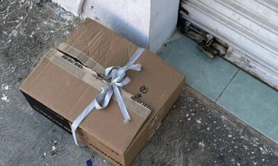 Indignación en Minatitlán por abandono de gata y crías frente a refugio animal