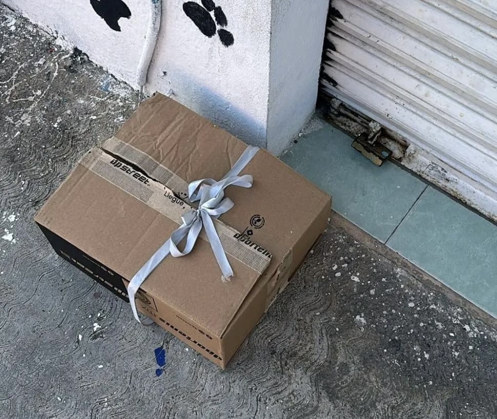 Indignación en Minatitlán por abandono de gata y crías frente a refugio animal