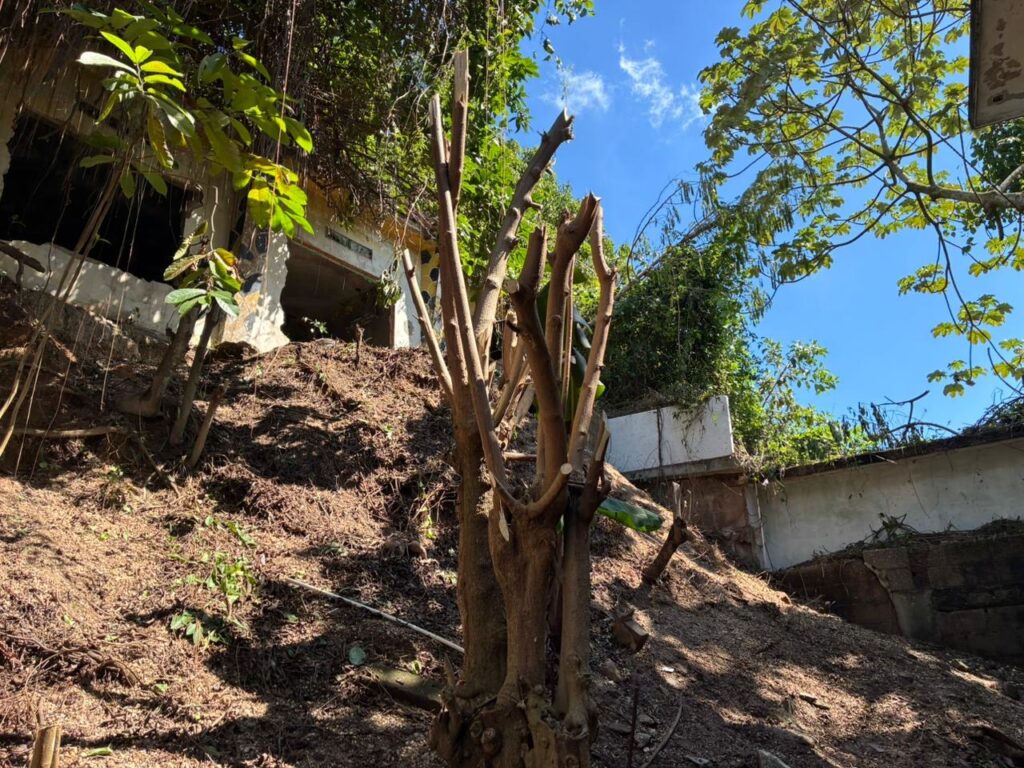 (+VIDEO) Caso de vivienda en riesgo en la colonia Obrera: Autoridades buscan a propietarios