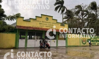 Alumnos atacados por perros en Secundaria de Minatitlán siguen con lesiones; nadie responde