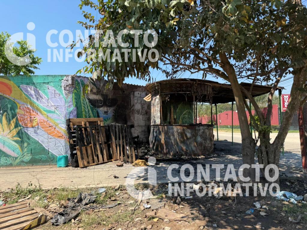 🔥 Voraz incendio reduce a cenizas estanquillo en la colonia Rosalinda