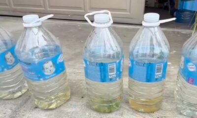 Vecinos exigen justicia por años de agua insalubre y adeudos que consideran indebidos en la Soto Innes