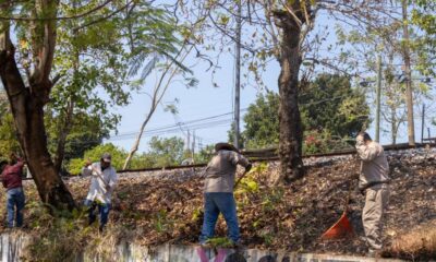 Ayuntamiento de Minatitlán fortalece el cuidado de espacios públicos