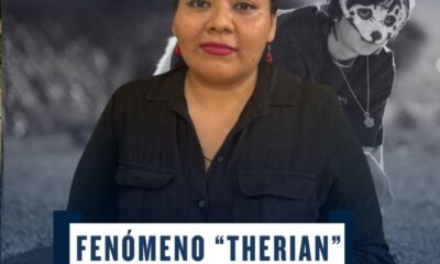 La búsqueda de identidad y sentido de pertenencia en adolescentes detrás del fenómeno “Therian”, representando una alerta psicológica, asegura especialista de Coatzacoalcos