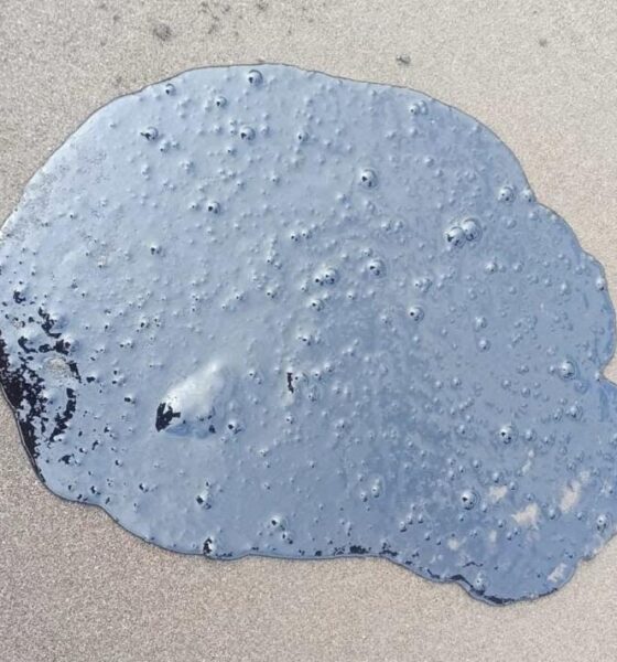 Derrame de hidrocarburo contamina playas de Pajapan; piden no consumir mariscos ni entrar al mar