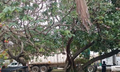 Retiran toneladas de residuos de hidrocarburo que fueron recolectados en bolsas de las playas de Coatzacoalcos