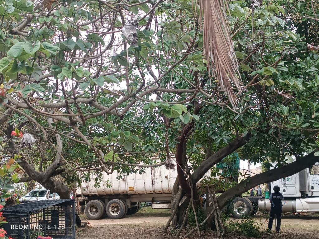 Retiran toneladas de residuos de hidrocarburo que fueron recolectados en bolsas de las playas de Coatzacoalcos
