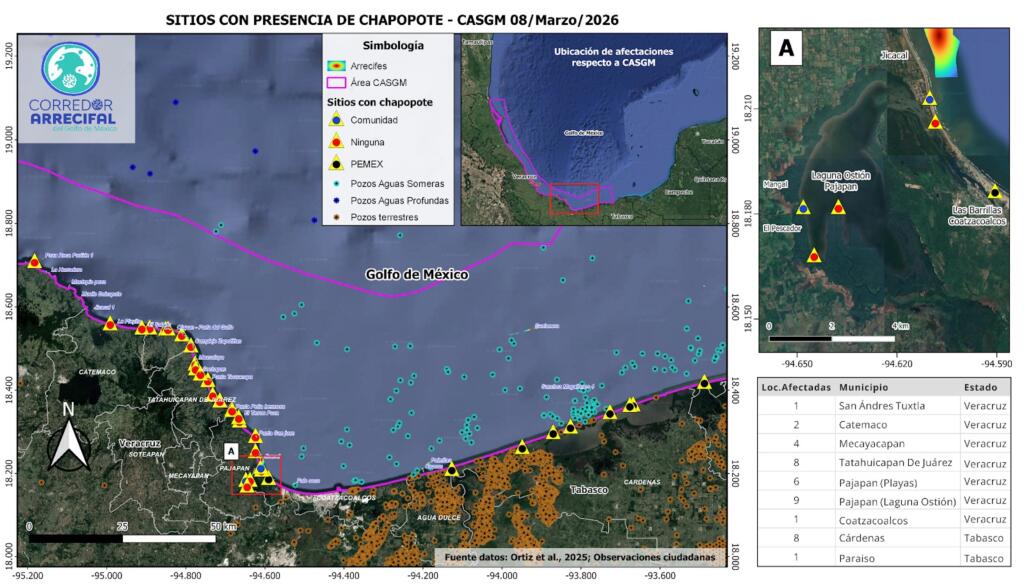 Derrame de petróleo impacta 39 comunidades del Golfo; pescadores limpian playas sin apoyo