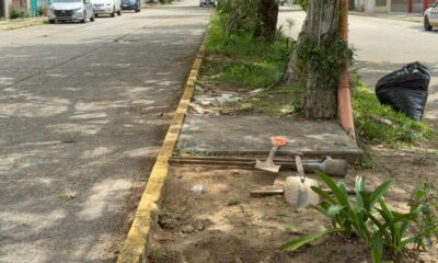 *Cuatro perros fueron presuntamente envenenados por vecinos del centro de Coatzacoalcos*