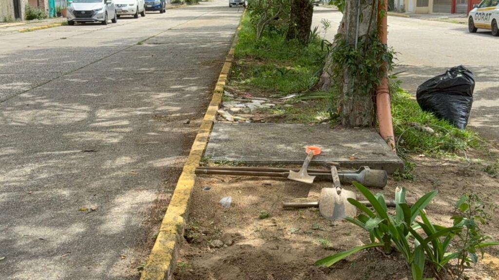 *Cuatro perros fueron presuntamente envenenados por vecinos del centro de Coatzacoalcos*