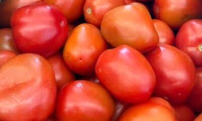 Se dispara el precio del tomate en mercados de Minatitlán