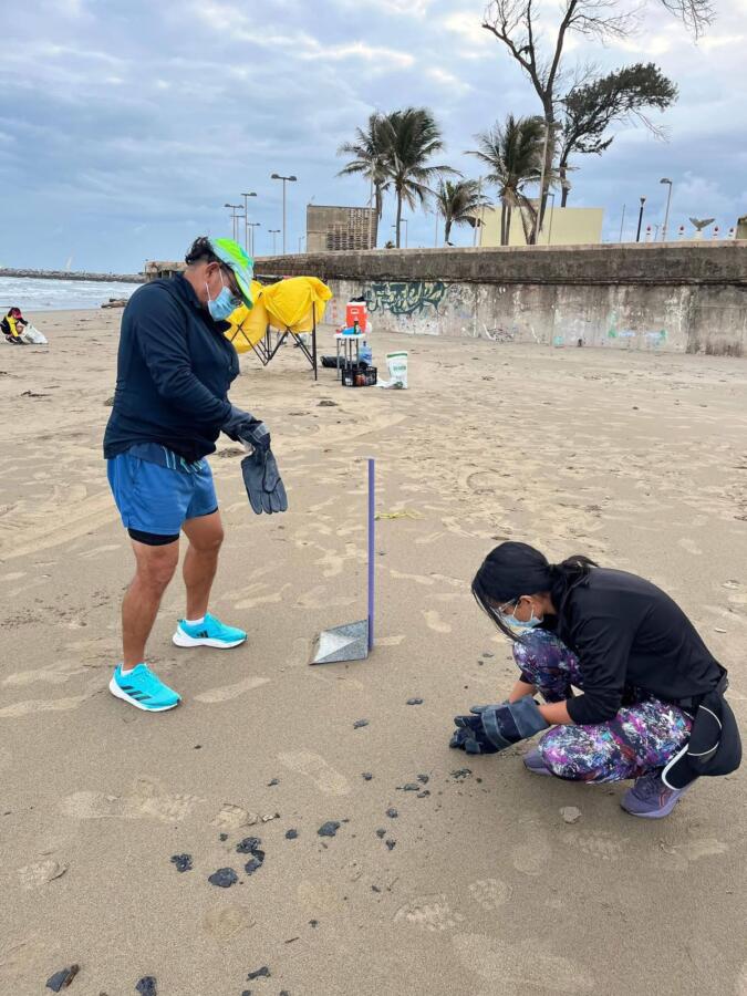 Deportistas y activistas se suman a limpieza de chapo en la playa de Coatzacoalcos