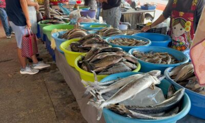 Comerciantes del Mercado Morelos llaman a consumir pescados y mariscos con confianza