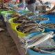Comerciantes del Mercado Morelos llaman a consumir pescados y mariscos con confianza
