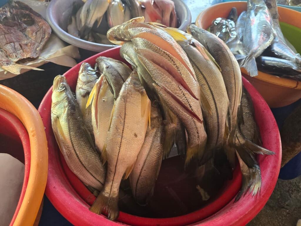 Ventas de mariscos caen hasta 65% en el Mercado Morelos de Coatzacoalcos por temor a contaminación, comerciantes traen producto de otros estados