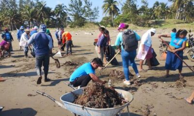*Limpian de hidrocarburo la playa de Jicacal en Pajapan*