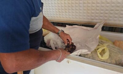 *Comerciantes de Las Barrillas señalan que sus clientes comenzaron a tener desconfianza con sus productos, consecuencia del derrame de hidrocarburo*