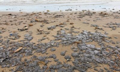 Chapopote llega a playas de Coatzacoalcos