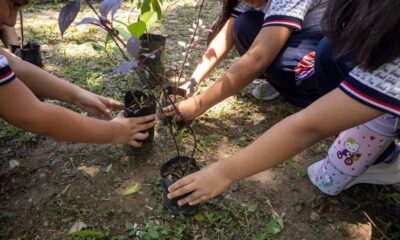 Minatitlán promueve acciones a favor del medio ambiente