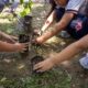 Minatitlán promueve acciones a favor del medio ambiente