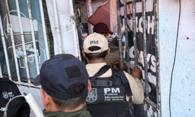 *Catean domicilio en la Coatzacoalcos; liberan a más de 40 perritos
