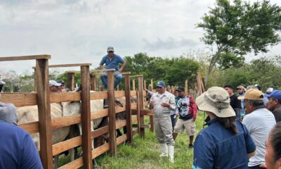 Ayuntamiento de Cosoleacaque capacita a productores ganaderos