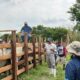Ayuntamiento de Cosoleacaque capacita a productores ganaderos