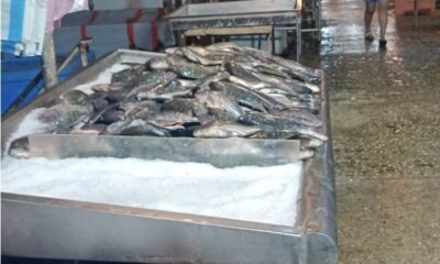 Sube la demanda de pescados y mariscos en Minatitlán por temporada de Cuaresma
