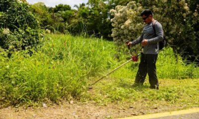 Gobierno de Minatitlán mantiene activo programa de limpieza en diversos puntos del municipio