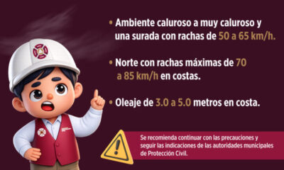 Alerta Gris: Frente Frío 41