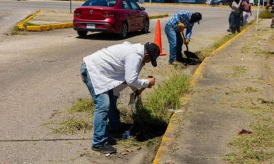 Gobierno de Minatitlán mantiene jornadas de limpieza