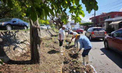 Gobierno Municipal realiza jornadas de limpieza a vialidades