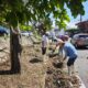 Gobierno Municipal realiza jornadas de limpieza a vialidades