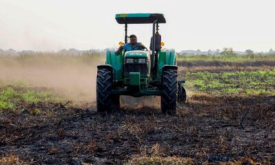 El Gobierno de Minatitlán fortalece al sector agrícola del área rural