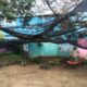 Minatitlán impulsa reforestación en la UTSV