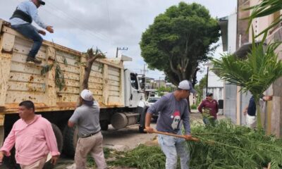 Jornada de limpieza y recolección de residuos en Minatitlán