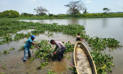 Gobierno de Minatitlán realiza trabajos de limpieza a espacios públicos.