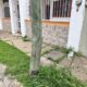 Vecinos de la Petrolera alertan por poste fracturado; denuncian más de un año sin atención de TELMEX
