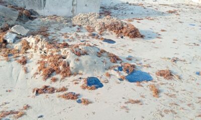*Chapopote reaparece en playa de Coatzacoalcos frente a la Bandera Monumental*