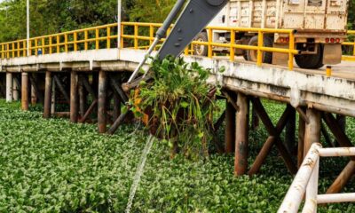 Minatitlán realiza acciones en favor del medio ambiente