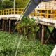 Minatitlán realiza acciones en favor del medio ambiente